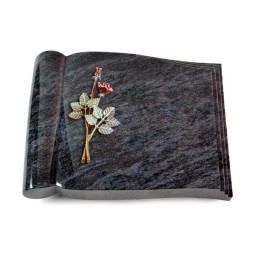 Grabbuch Biblos/Orion Rose 5 (Color)