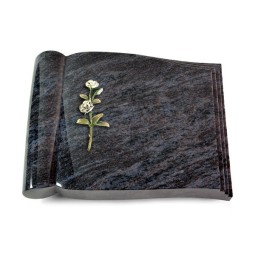 Grabbuch Biblos/Orion Rose 8 (Color)