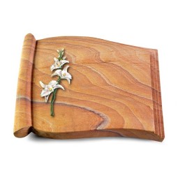 Grabbuch Biblos/Rainbow Orchidee (Color)