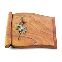 Grabbuch Biblos/Rainbow Rose 5 (Color)