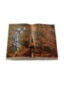 Grabbuch Livre/Aruba Efeu (Alu)