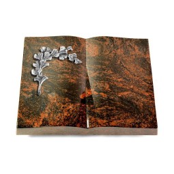 Grabbuch Livre/Aruba Gingozweig 2 (Alu)