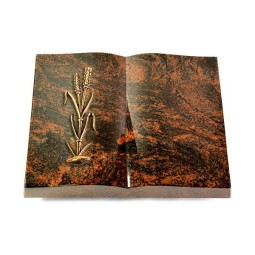 Grabbuch Livre/Aruba Ähren 2 (Bronze)