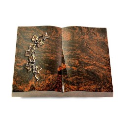 Grabbuch Livre/Aruba Efeu (Bronze)