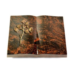 Grabbuch Livre/Aruba Gingozweig 1 (Bronze)