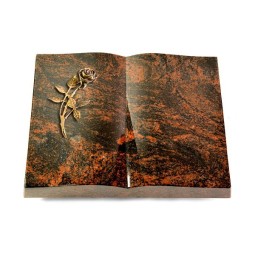 Grabbuch Livre/Aruba Rose 6 (Bronze)