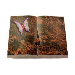 Grabbuch Livre/Aruba Papillon 1 (Color)
